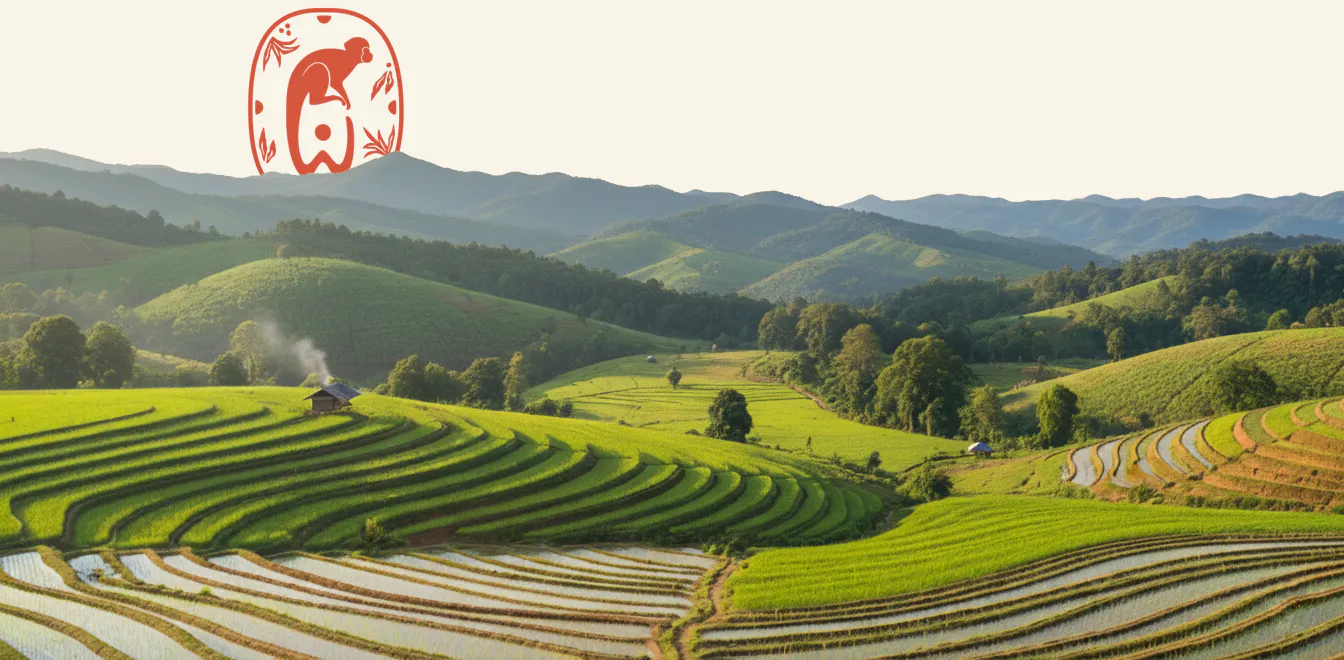 Wonderland Pai Landscape